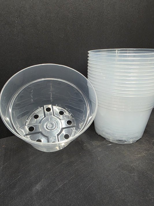 6" Clear Pots 3 Pack